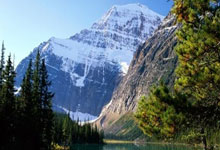 欧洲足球联赛激烈争夺，全力以赴