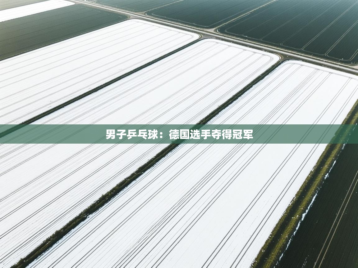 男子乒乓球：德国选手夺得冠军  第1张