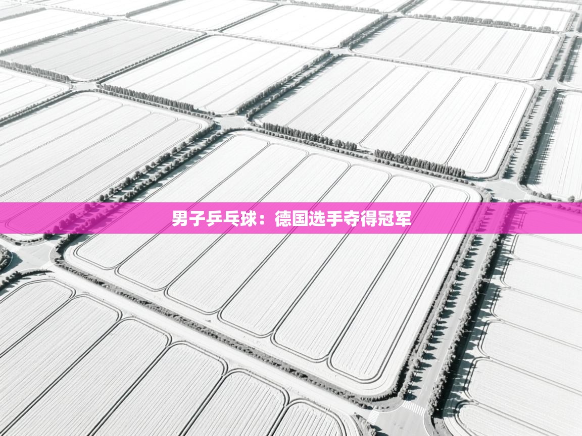 男子乒乓球：德国选手夺得冠军  第2张